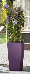 Tall tapered curved square synthetic planter Tall tapered curved square synthetic planter