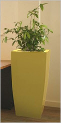 Tall tapered curved square GRP planter Tall tapered curved square GRP planter