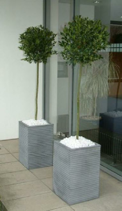 tall square ribbed planters
