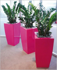 Tall tapered curved square GRP planter Tall tapered curved square GRP planter