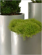 Tall round plant containers in silver finish